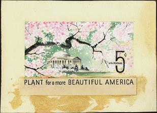 1966-united-states-five-cent-plant-more-beautiful-america-stamp