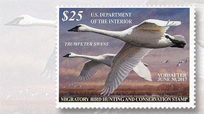 2016-twenty-five-dollar-trumpeter-swans-federal-duck-stamp