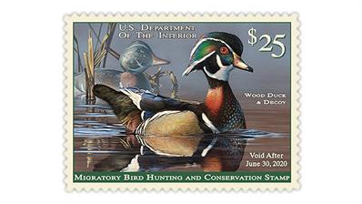 2019-united-states-federal-duck-stamp-scot-storm-artist