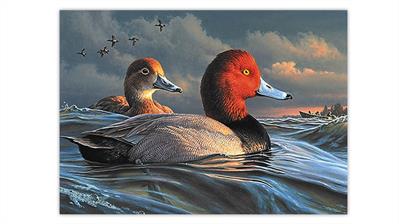 2021-duck-stamp-art-contest-redheads-painting-james-hautman