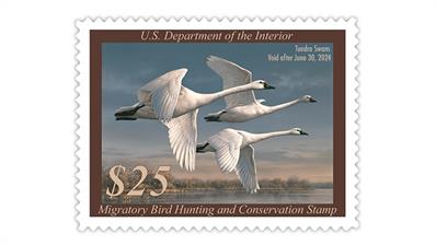 2023-federal-duck-stamp-tundra-swans