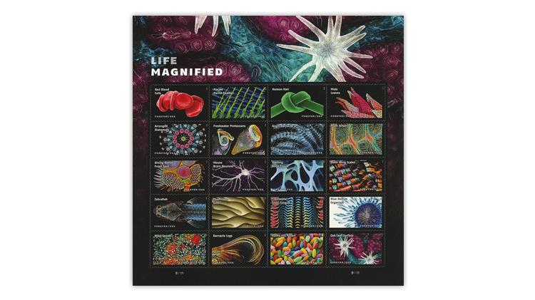 2023-us-stamp-poll-life-magnified-stamps-second-place-best-design