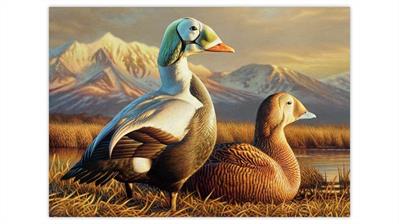 2025-federal-duck-stamp-art