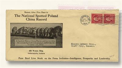 advertising-cover-spotted-poland-china-piglets