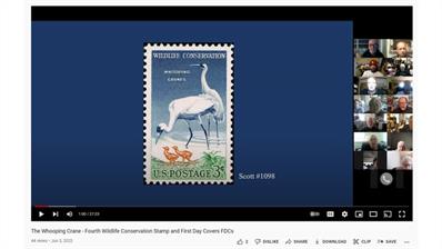 american-first-day-cover-society-whooping-crane-youtube-video