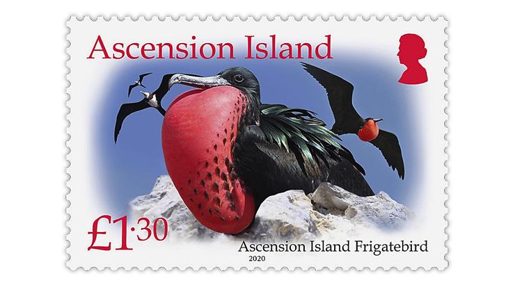 ascension-island-2021-frigatebird-stamp