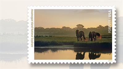 assateague-island-national-parks