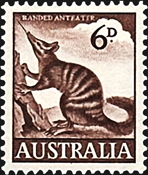 australia-endangered-banded-anteater-stamp-1959