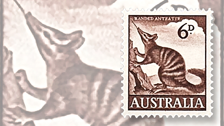 australia-endangered-banded-anteater-stamp