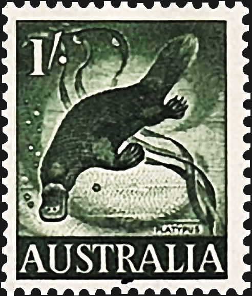 australia-platypus-definitive-stamp-1959