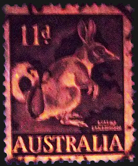 australia-rabbit-bandicoot-stamp-fluorescent-ultraviolet-light