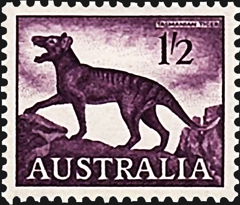 australia-tasmanian-tiger-definitive-stamp-1962