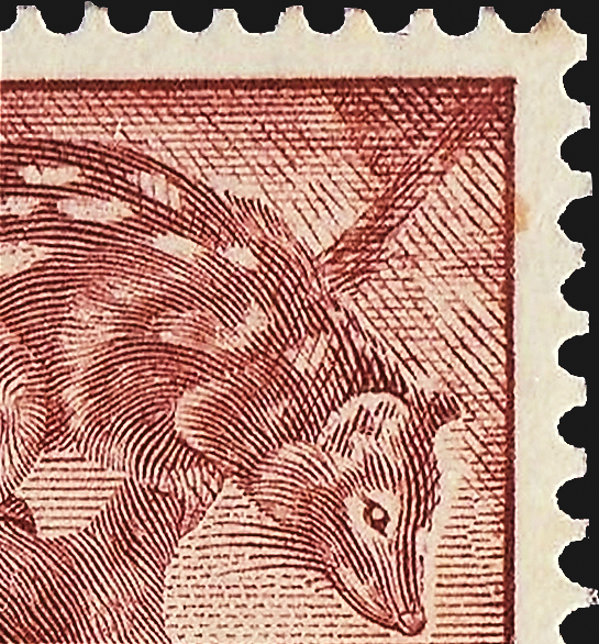 australia-tiger-cat-stamp-typhoon-printing-plate-variety