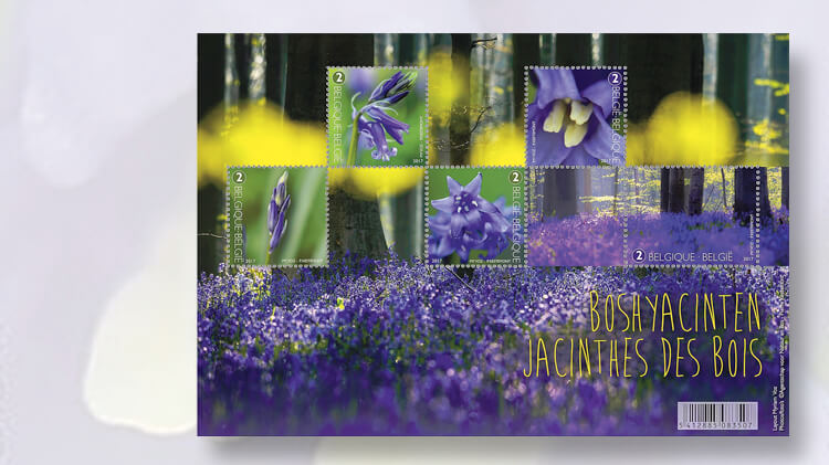 belgium-bluebells-stamp-pane