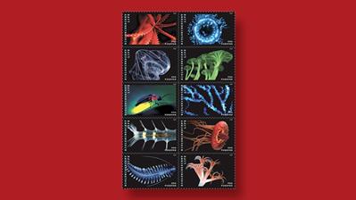 bioluminescent-life-stamps-ceremony