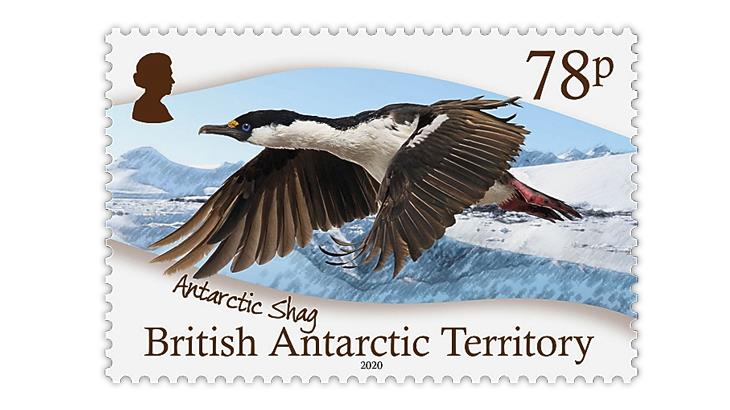 british-antarctic-territory-2021-polar-seabirds-stamps