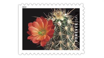 cactus-flowers-10-stamps