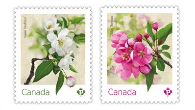 canada-2021-crab-apple-blossoms-stamps