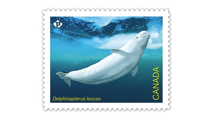 canada-2022-beluga-whale-stamp