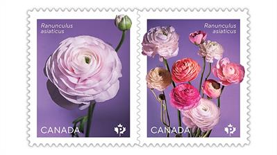 canada-2023-spring-flowers-ranunculus-stamps