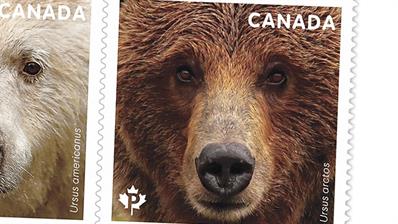 canada-bears-stamps-preview