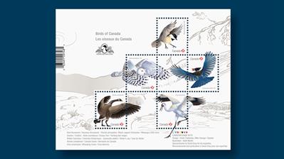 canada-birds-2018