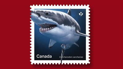 canada-sharks-booklet-stamp