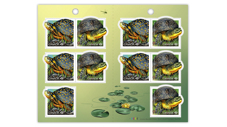 canada-turtles-souvenir-sheet