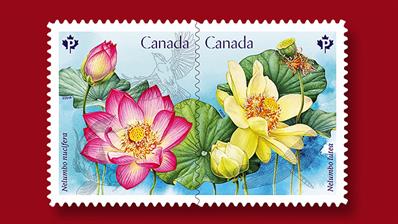 canadian-souvenir-sheet-lotus-flowers