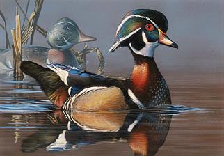 duck-stamp-art