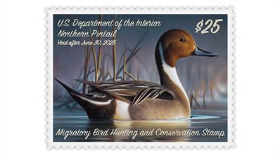 duck-stamp-modernization-act-northern-pintail-hunting-permit-stamp