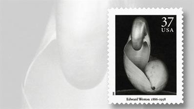 edward-weston-masters-of-photography