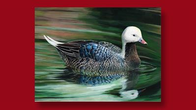 emperor-goose-painting