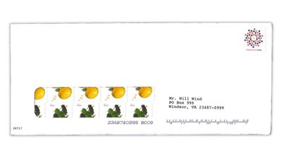 fundraising-mailing-united-states-fruits-coil-stamps