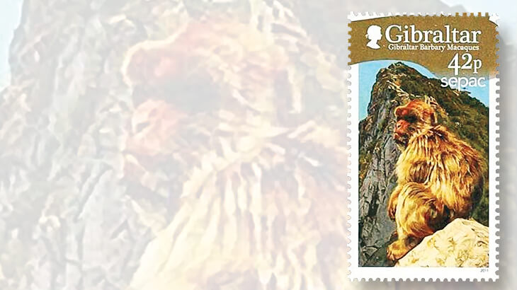 gibraltar-barbary-macaque-stamp