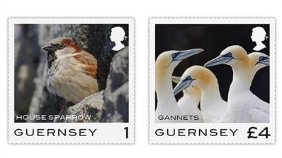 guernsey-2021-sparrow-northern-gannets-birds-stamps