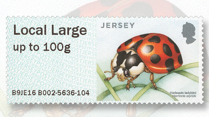 jersey-14-spot-ladybird-stamp