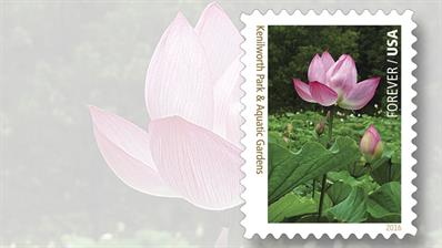 kenilworth-aquatic-gardens-national-park-stamp