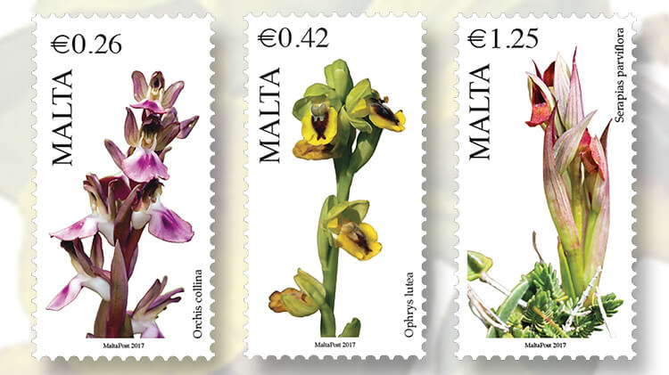 malta-flora-series-orchid-stamps