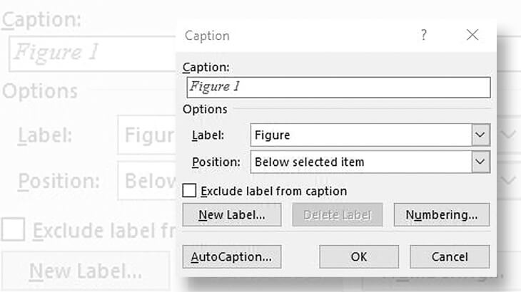 microsoft-word-stamp-albums-dialog-box-captions