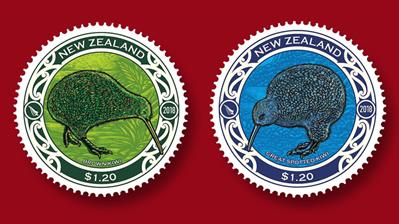 nz-brown-great-spotted-kiwi