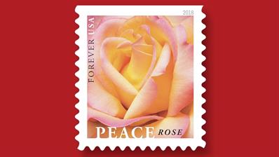 peace-rose-stamp-ceremony