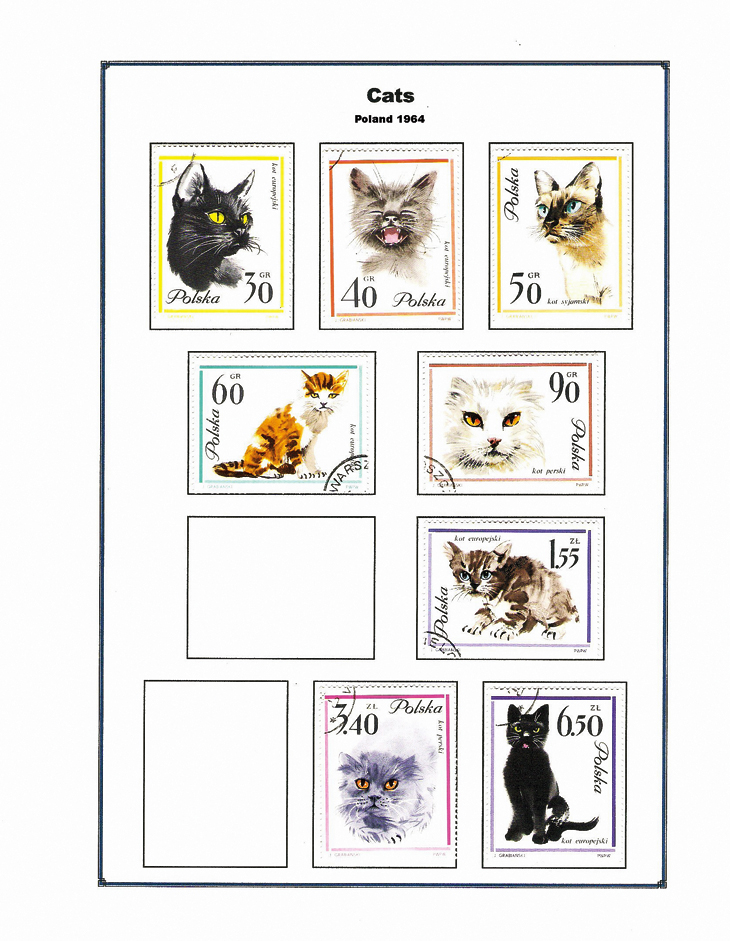 poland-1964-cats-stamps-album-page-microsoft-publisher