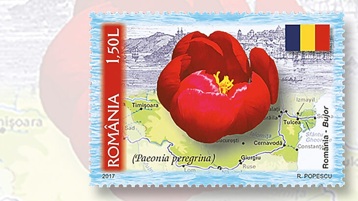 romania-national-symbol-flower-stamp