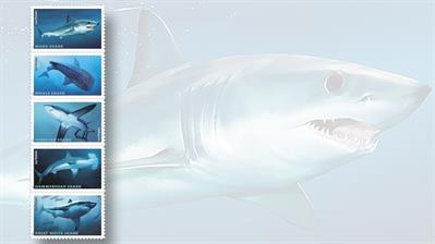 sharks-stamp-set-five