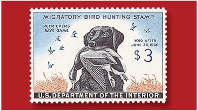 three-cent-labrador-retriever-drake-federal-duck-stamp