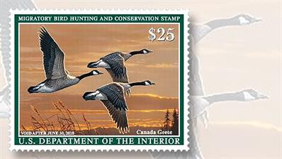 twenty-five-dollar-canada-geese-federal-duck-stamp