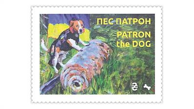 ukraine-patron-mine-sniffing-dog-cinderella-label