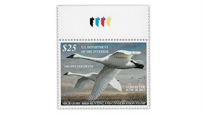 united-states-2016-trumpeter-swans-federal-duck-stamp-purple-moon-variety