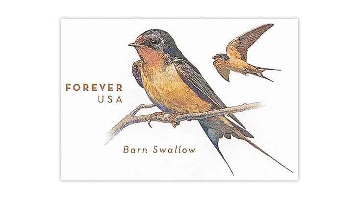 united-states-2017-barn-swallows-stamped-envelope